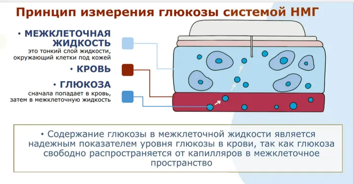 2026-08-28_15-15-47
